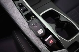 PEUGEOT 5008 usata 22