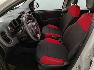 FIAT Panda usata 7