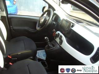 FIAT Panda Cross usata, con Frenata d