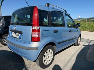 FIAT Panda usata, con Airbag Passeggero