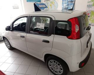 FIAT Panda usata, con Airbag Passeggero