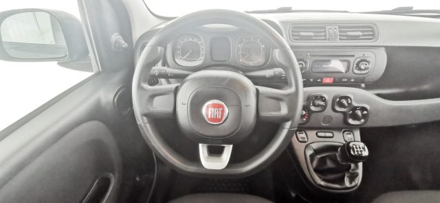 FIAT Panda usata 55