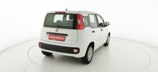 FIAT Panda usata 53
