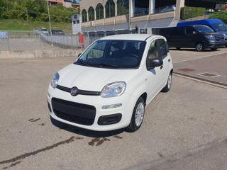 FIAT Pandina 1.0 FireFly 65 CV Hybrid Icon