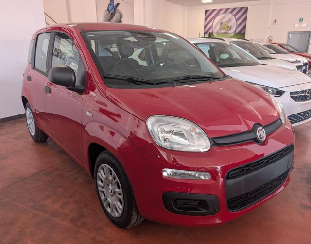 FIAT Panda usata, con Airbag