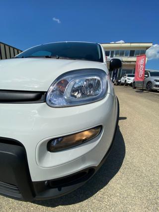 FIAT Panda usata, con Airbag testa