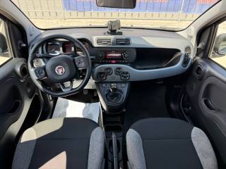 FIAT Panda usata 22