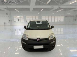 FIAT Panda usata 6