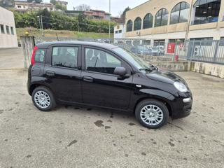 FIAT Panda usata, con Autoradio