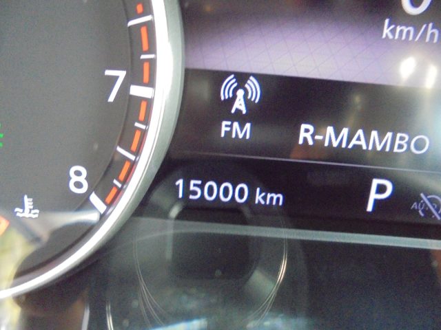 NISSAN Juke usata 44