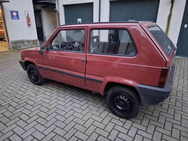 FIAT Panda usata 6
