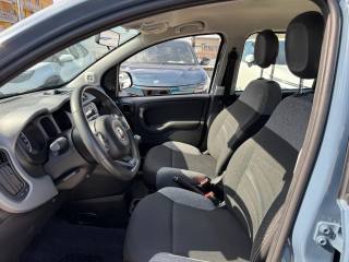 FIAT Panda Cross usata, con Chiusura centralizzata