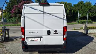 FIAT Ducato usata 18