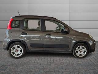 FIAT Panda usata, con Airbag Passeggero