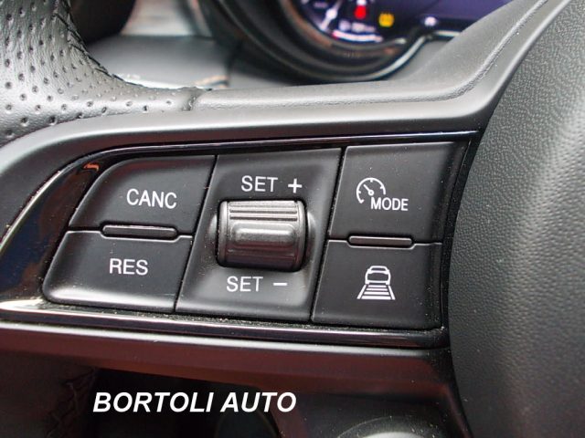 ALFA ROMEO Tonale usata, con Vivavoce