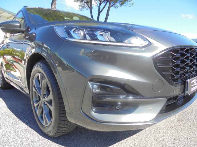 FORD Kuga usata, con Sensore di luce