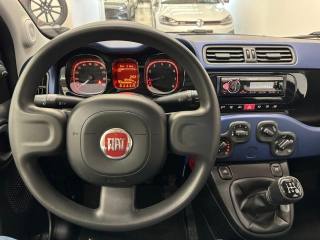 FIAT Panda usata, con Fendinebbia