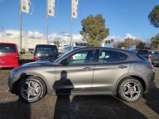 ALFA ROMEO Stelvio usata, con Bracciolo