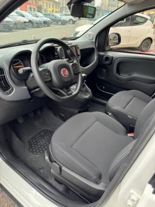 FIAT Panda Cross usata, con Climatizzatore