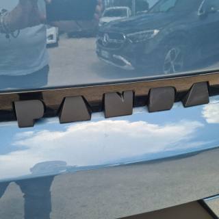 FIAT Grande Panda usata, con Frenata d