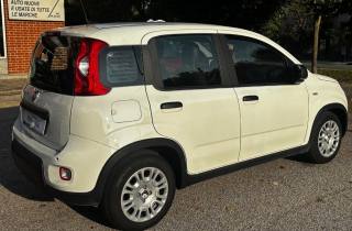 FIAT Panda usata, con Alzacristalli elettrici