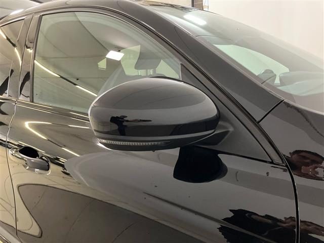 RENAULT Arkana usata 28