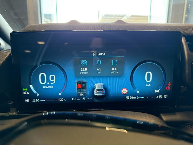 FORD Puma usata, con Cronologia tagliandi