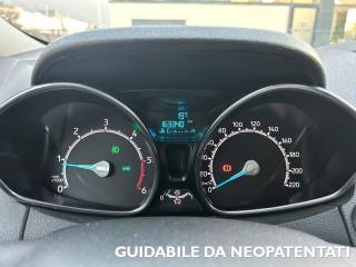 FORD EcoSport usata, con Controllo trazione