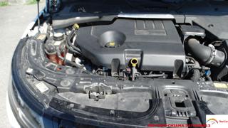 LAND ROVER Range Rover Evoque usata 86