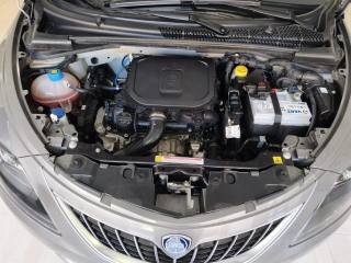 LANCIA Ypsilon usata, con Fendinebbia