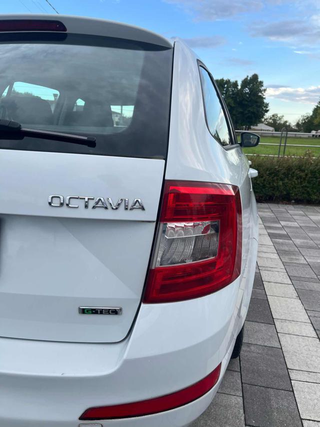 SKODA Octavia usata, con Alzacristalli elettrici