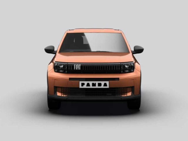 FIAT Grande Panda usata, con Controllo trazione