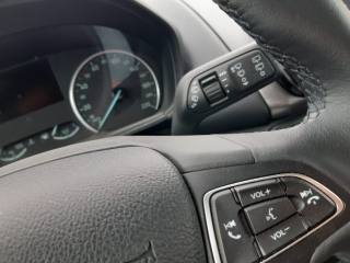 FORD EcoSport usata, con Controllo trazione