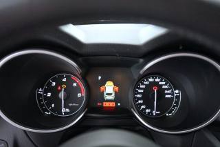 ALFA ROMEO Stelvio usata 53