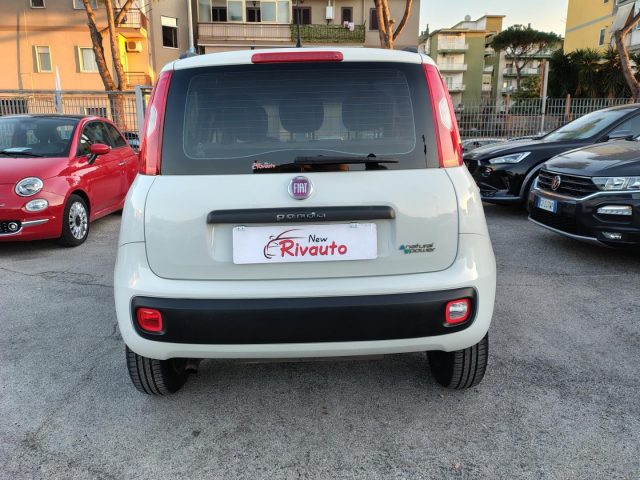 FIAT Panda usata, con Alzacristalli elettrici