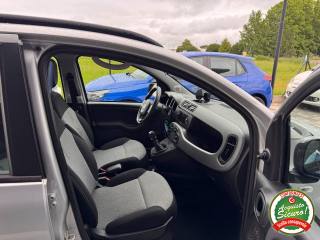 FIAT Panda usata, con Servosterzo