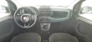 FIAT Panda usata 52