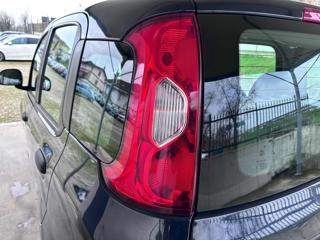 FIAT Panda usata 52