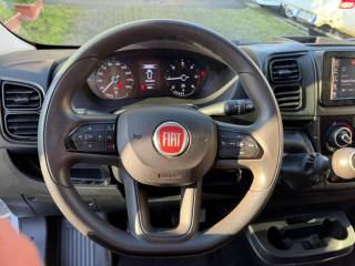 FIAT Ducato usata, con ESP