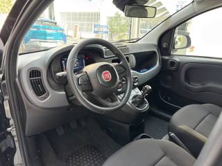 FIAT Panda usata, con Sensore di luce