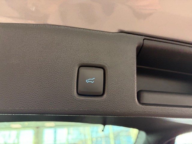 FORD Kuga usata, con Interni in pelle