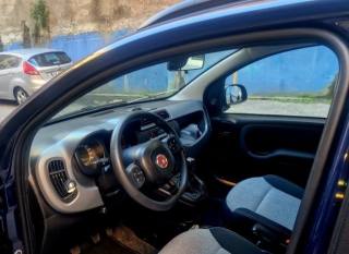 FIAT Panda usata, con Controllo trazione