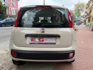 FIAT Panda usata, con Chiusura centralizzata