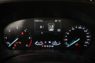 FORD Focus usata 6