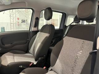 FIAT Panda usata 19