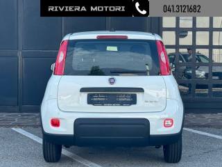 FIAT Panda usata, con Controllo trazione