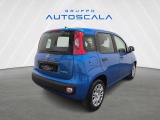 FIAT New Panda usata, con Autoradio