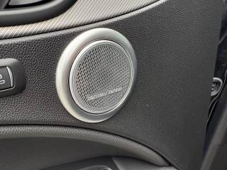 ALFA ROMEO Stelvio usata, con Controllo elettronico della corsia