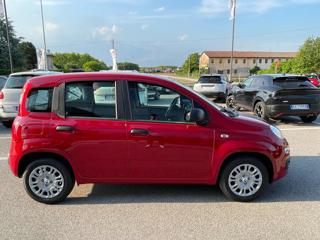 FIAT Panda usata, con Airbag Passeggero