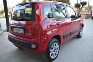 FIAT Panda usata 17